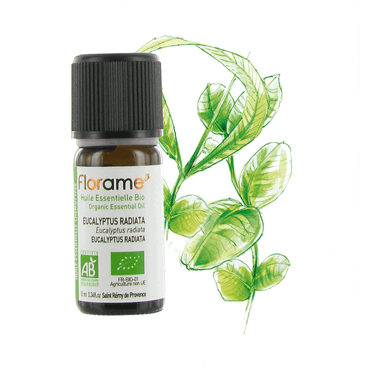 Eucalyptus 10ML